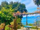 Rustico del Glicine |  -  - 