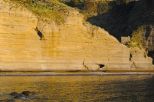 Antico Rustico del Postino |  -  - 