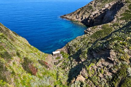 Antico Rustico del Postino |  -  - 