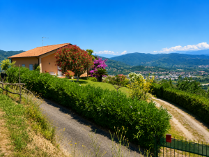 La Casa delle Colline dei Poeti |  -  - 