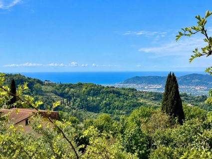 La Villa dei Leoni di Fosdinovo |  -  - 