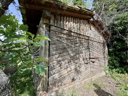 La Villa dei Leoni di Fosdinovo |  -  - 