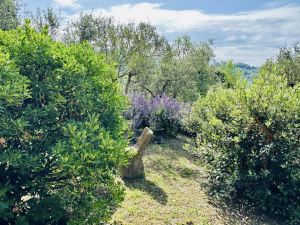 La Villa dei Leoni di Fosdinovo |  -  - 
