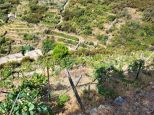 Antico Landhaus la Lumachina |  -  - 