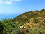 Antico Landhaus la Lumachina |  -  - 