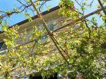 Antico Landhaus la Lumachina |  -  - 