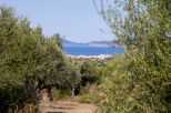 Villa Alghero Verde Mare |  -  - 