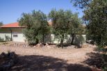 Villa Alghero Verde Mare |  -  - 