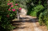 Villa Alghero Verde Mare |  -  - 