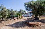 Villa Alghero Verde Mare |  -  - 