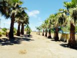 La Masseria Salentina |  -  - 