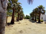 La Masseria Salentina |  -  - 