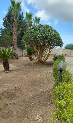La Masseria Salentina |  -  - 