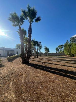 La Masseria Salentina |  -  - 
