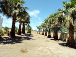 La Masseria Salentina |  -  - 