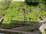 La Casa della Serra |  -  - 