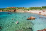 Prima Fermata il Paradiso |  -  - 