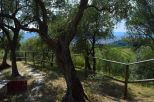 Villa l' Uliveto sul Mare |  -  - 