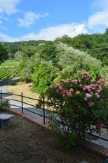 Villa l' Uliveto sul Mare |  -  - 