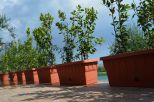 Villa l' Uliveto sul Mare |  -  - 