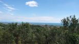 Villa l' Uliveto sul Mare |  -  - 