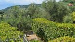 Villa l' Uliveto sul Mare |  -  - 