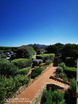 La Casa Solare del Faro | Porto Cervo - Apartments - Costa Smeralda