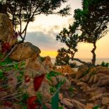 Villa Brezza di Paradiso |  -  - 