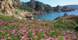 Villa Brezza di Paradiso |  -  - 