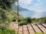 Il Paradiso puo' Attendere Corniglia |  -  - 