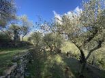 Villino Gabriella |  -  - 