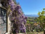 Villino Mare Alpi  |  -  - 