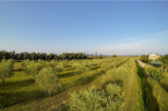 La Villa Maremma Mare |  -  - 