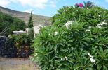 La Tenuta di Venere |  -  - 