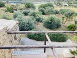 La Tenuta di Venere |  -  - 