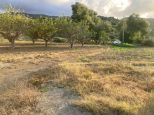 La Tenuta di Venere |  -  - 