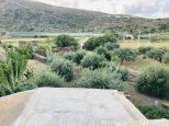 La Tenuta di Venere |  -  - 