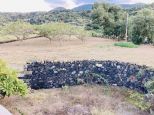La Tenuta di Venere |  -  - 