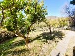 Villa Alassio |  -  - 
