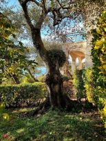 Villa Serenita' |  -  - 