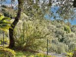 Villa Serenita' |  -  - 