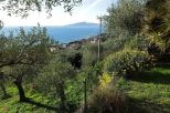Villa Serenita' |  -  - 