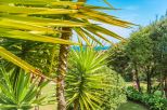Villa Pantogia |  -  - 