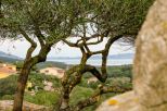 Antico Stazzo Santa Teresa | Santa Teres di Gallura / Porto Pozzo / Conca Verde - Wohnungen und Villen - Nord Sardegna