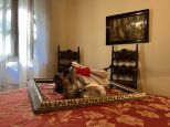 Villa la Quercia |  -  - 