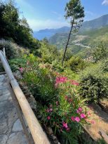 Antico Rustico del Santuario | Riomaggiore @Manarola - Wohnungen und Villen - 5 Terre