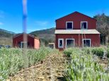 Il Podere delle Rose |  -  - 