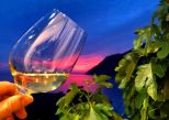 Il Podere delle Rose |  -  - 