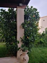 Villa Tertenia |  -  - 