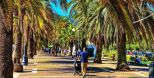 Appartamento del Prione |  -  - 